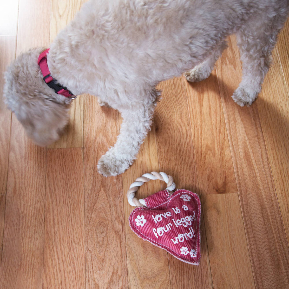 Heart Love - 10" Canvas Dog Toy on Rope
