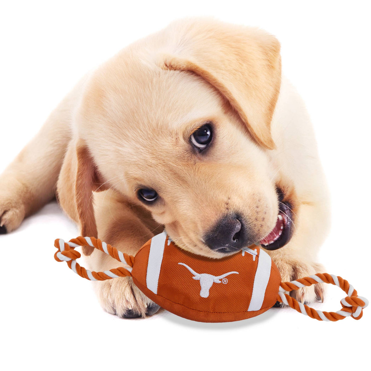 TEXAS NYLON FOOTBALL TOY