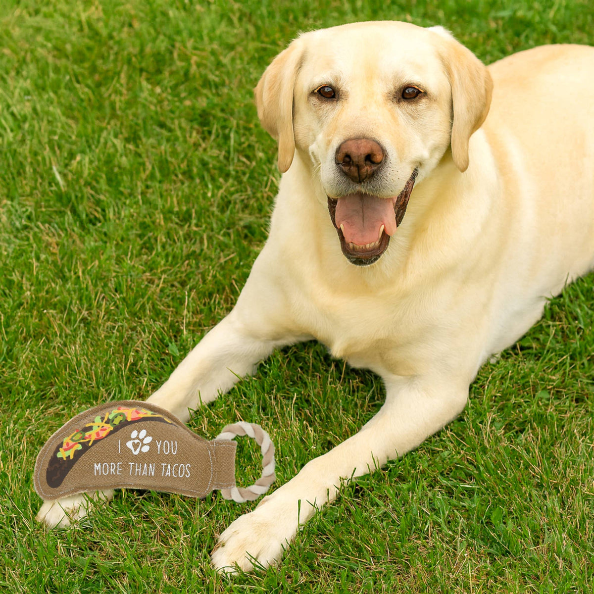 Tacos - 10.75" Canvas Dog Toy on Rope